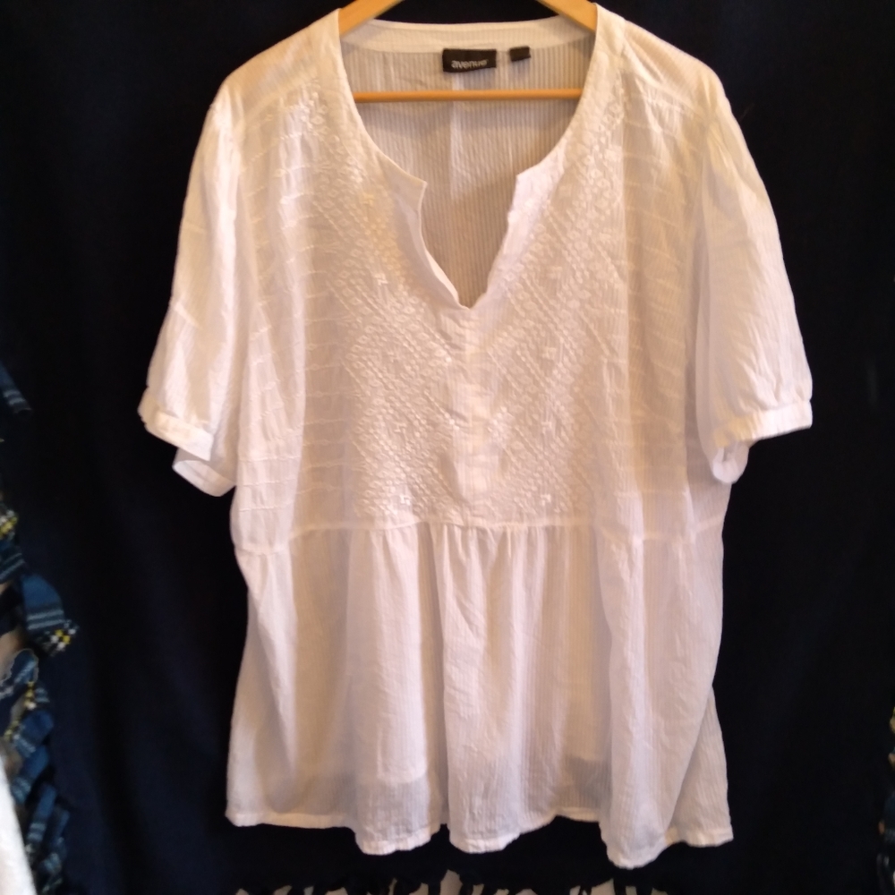 Avenue Sheer Blouse